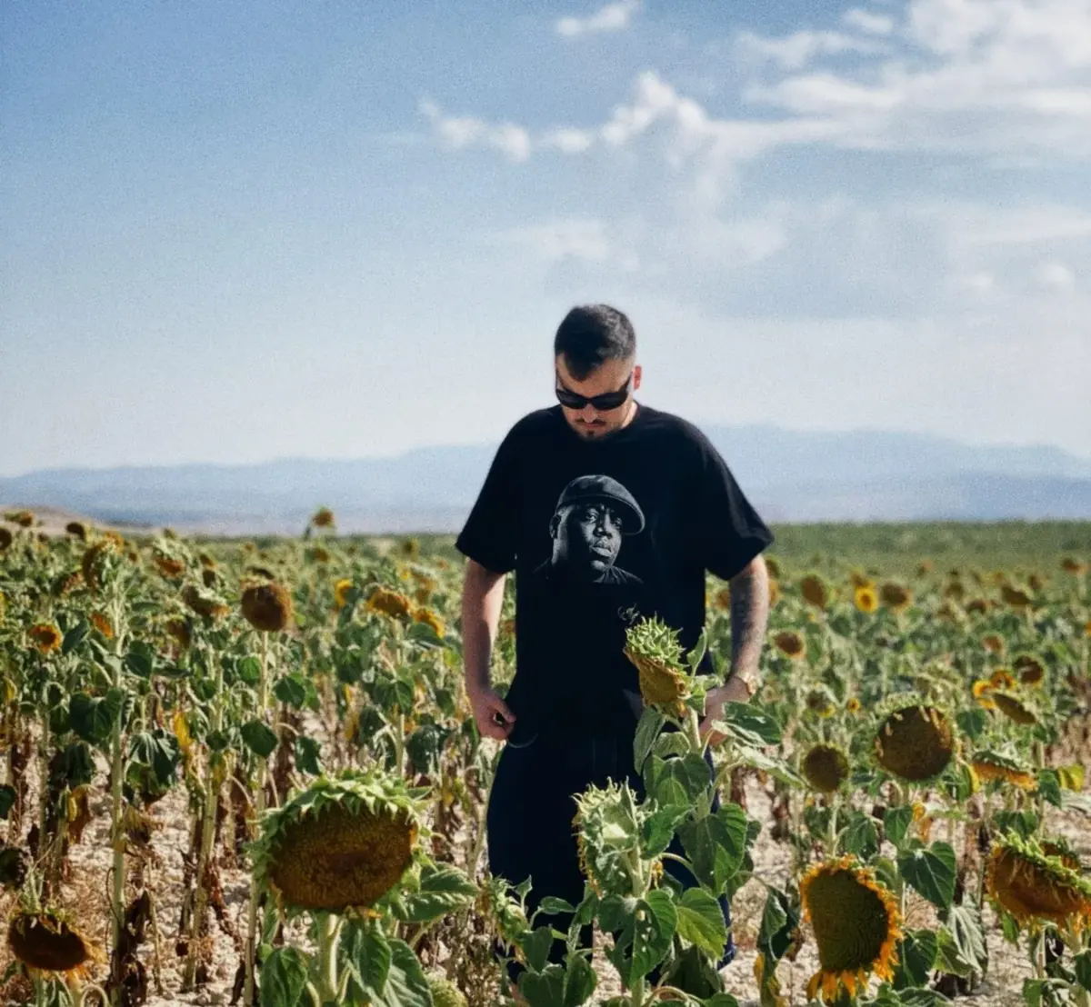 Archivo Hypnotize 12